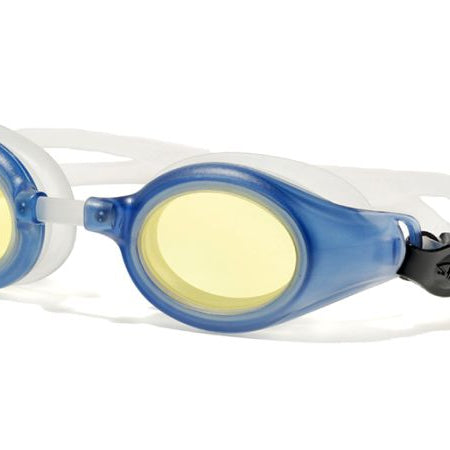 fallback text for a video