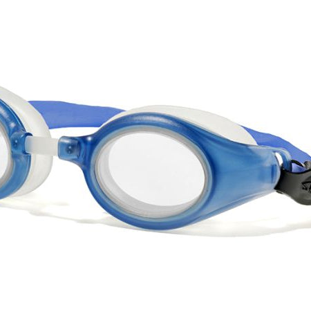 fallback text for a video