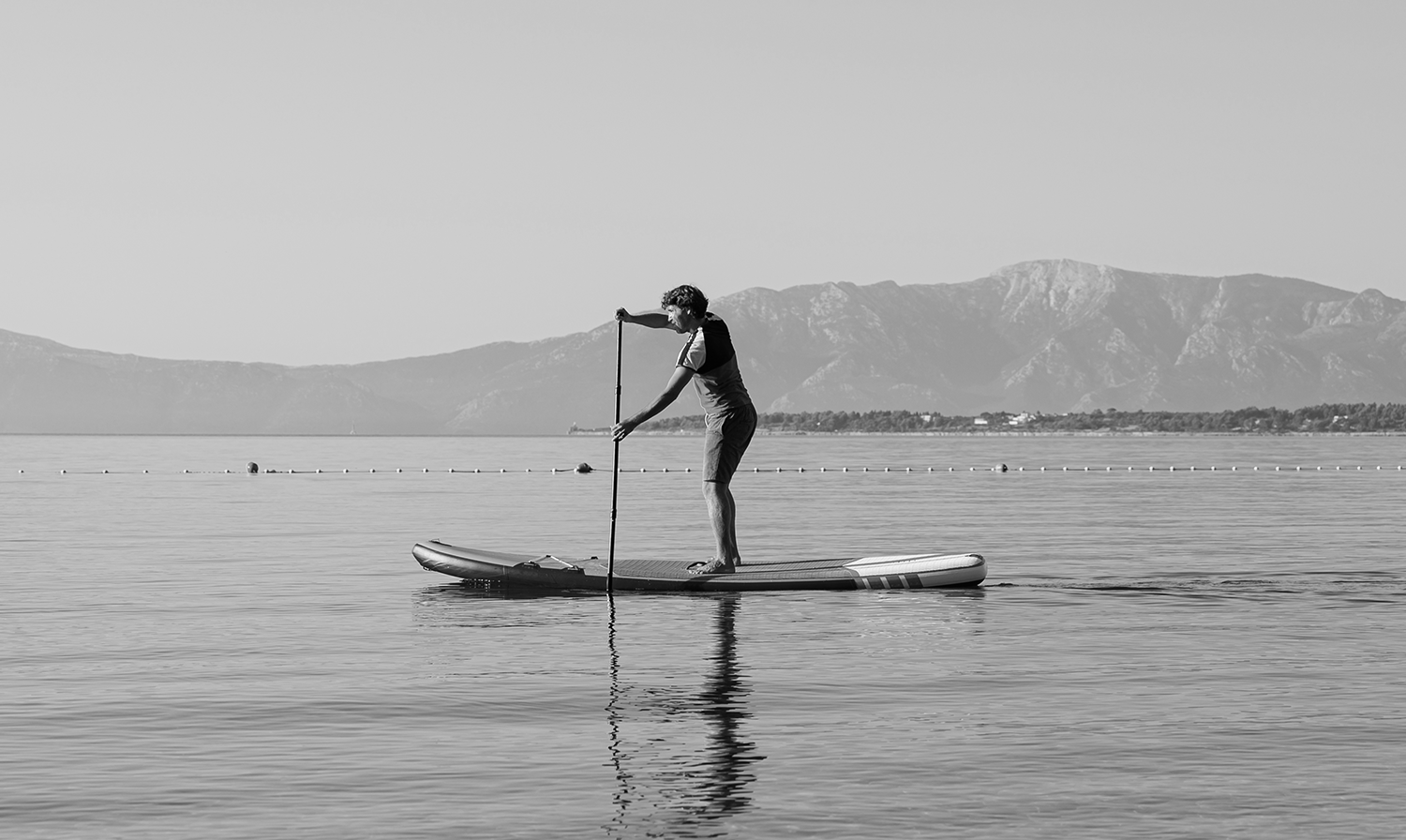 Paddle Board