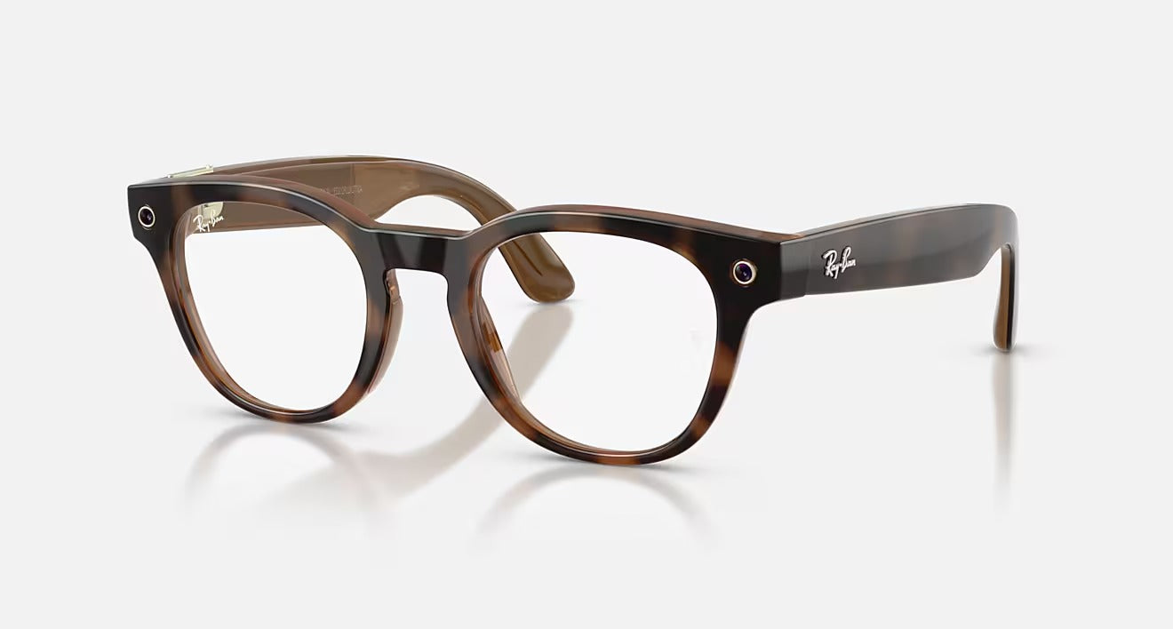 Ray-Ban Meta Scriber Optics Gen 2 RW7002
