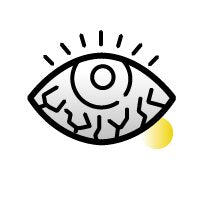 Lens Property Icon