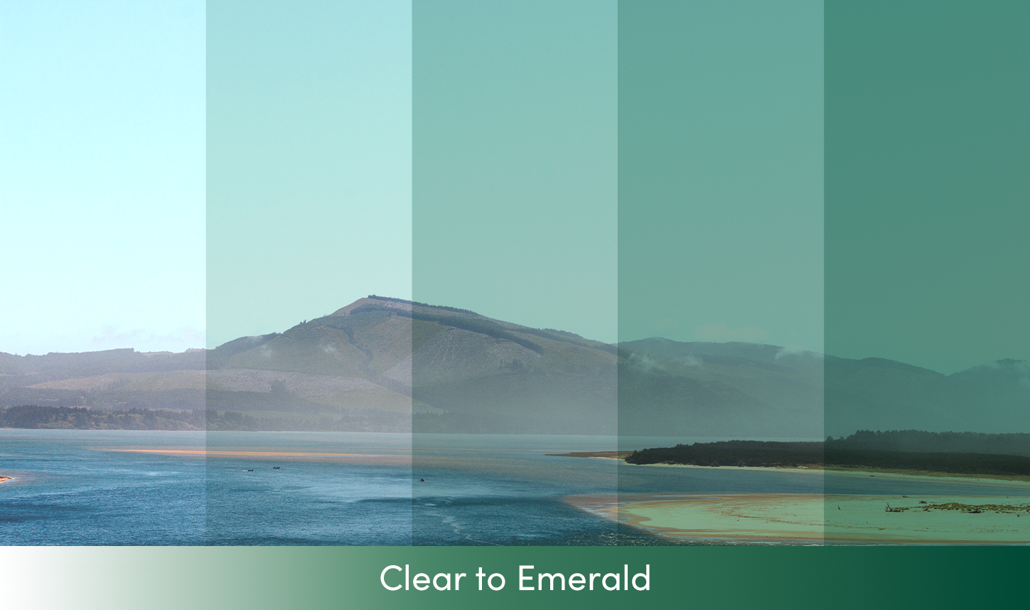 Vision Color Image
